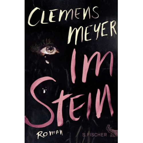 Clemens Meyer - Im Stein