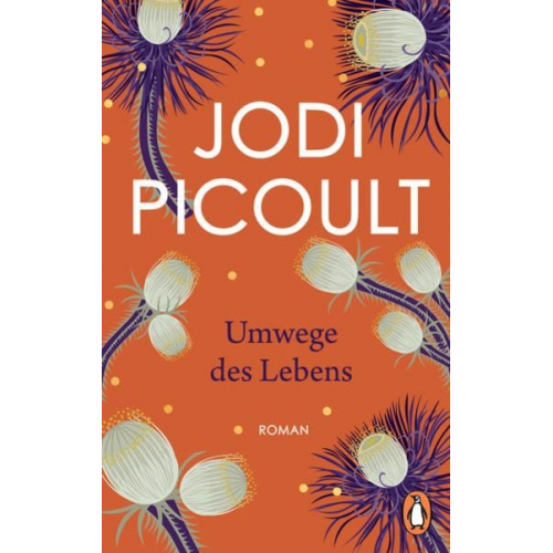 Jodi Picoult - Umwege des Lebens