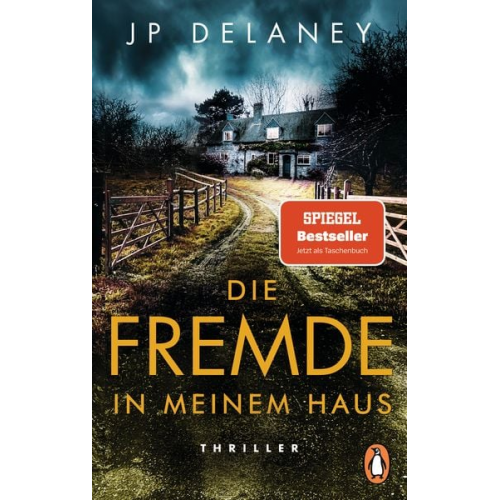 JP Delaney - Die Fremde in meinem Haus