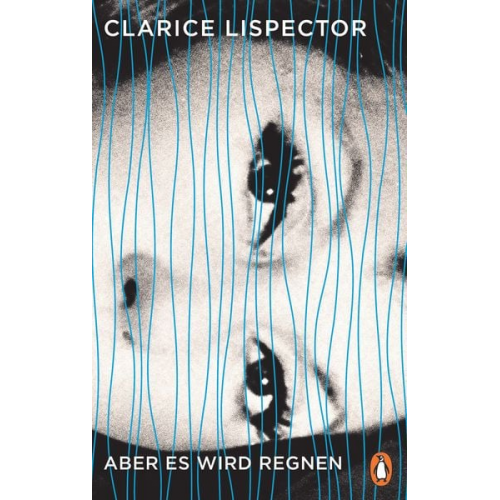 Clarice Lispector - Aber es wird regnen