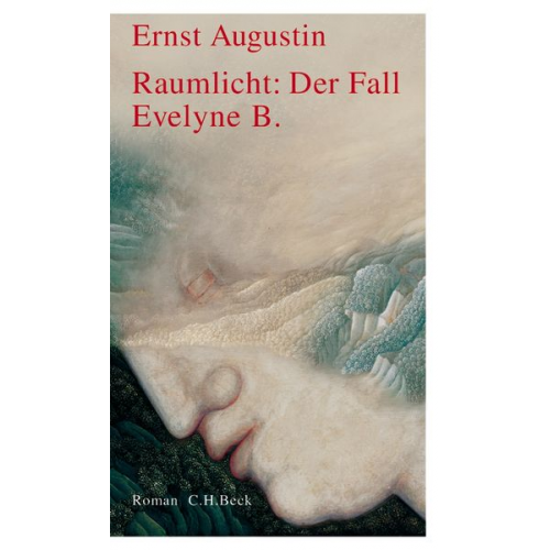 Ernst Augustin - Raumlicht: Der Fall Evelyne B.