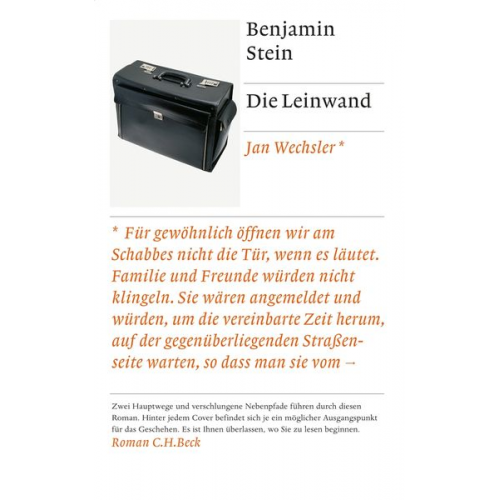 Benjamin Stein - Die Leinwand