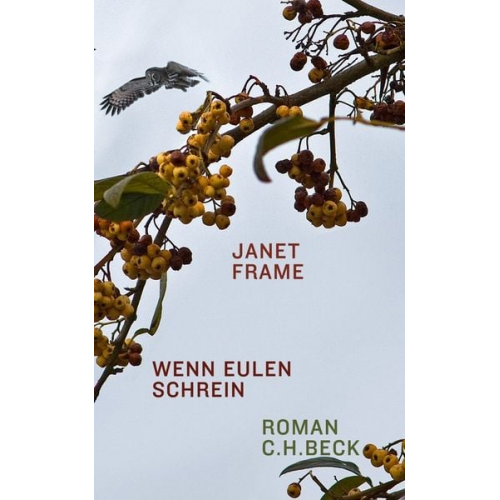 Janet Frame - Wenn Eulen schrein