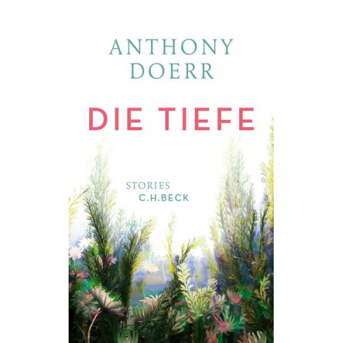 Anthony Doerr - Die Tiefe