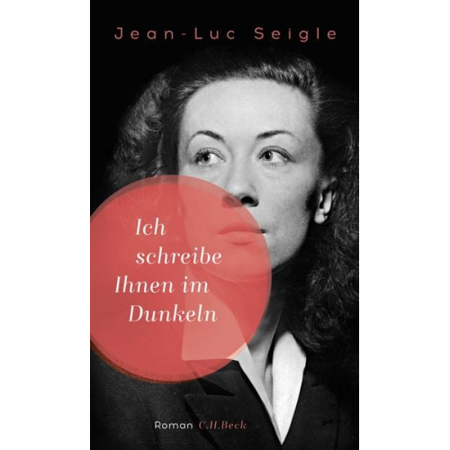 Jean-Luc Seigle - Ich schreibe Ihnen im Dunkeln