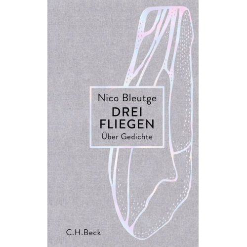 Nico Bleutge - Drei Fliegen
