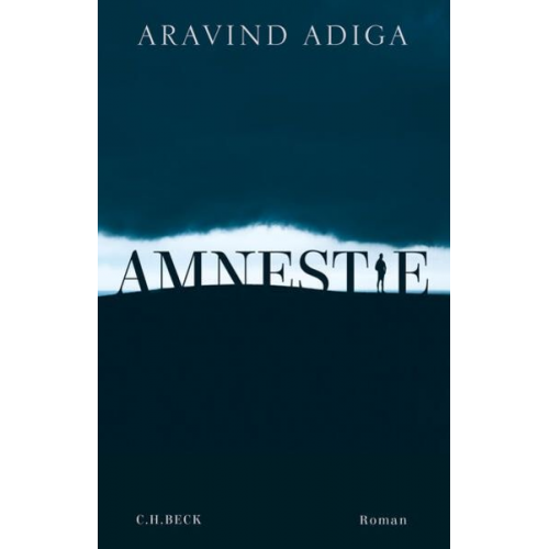 Aravind Adiga - Amnestie