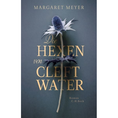 Margaret Meyer - Die Hexen von Cleftwater