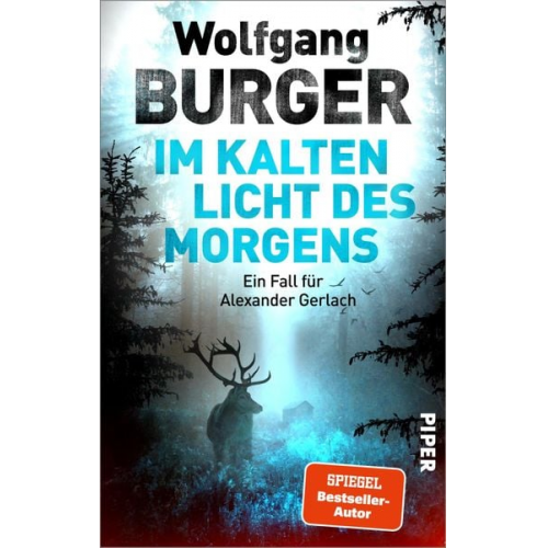 Wolfgang Burger - Im kalten Licht des Morgens