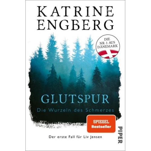 Katrine Engberg - Glutspur