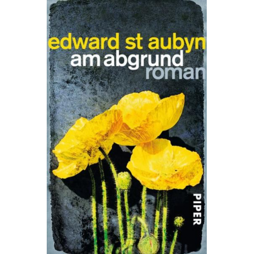 Edward St Aubyn - Am Abgrund