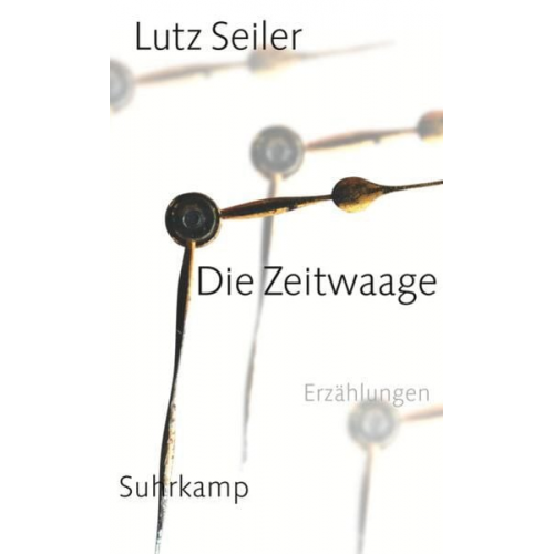 Lutz Seiler - Die Zeitwaage