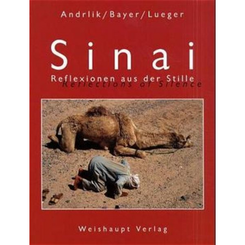 Stanislaus Andrlik Isabell Bayer Karl Lueger - Sinai