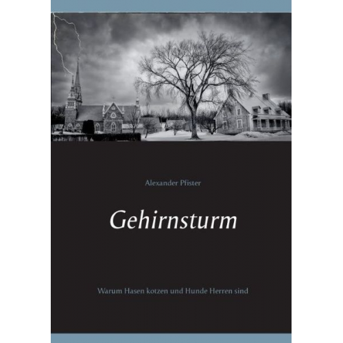 Alexander Pfister - Gehirnsturm