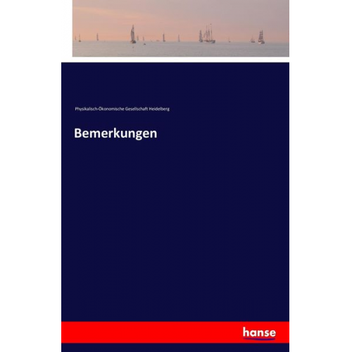 Physikalisch-Ökonomische Gesellschaft Heidelberg - Bemerkungen