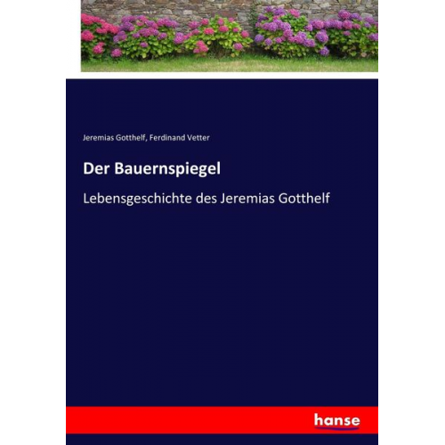 Jeremias Gotthelf Ferdinand Vetter - Der Bauernspiegel