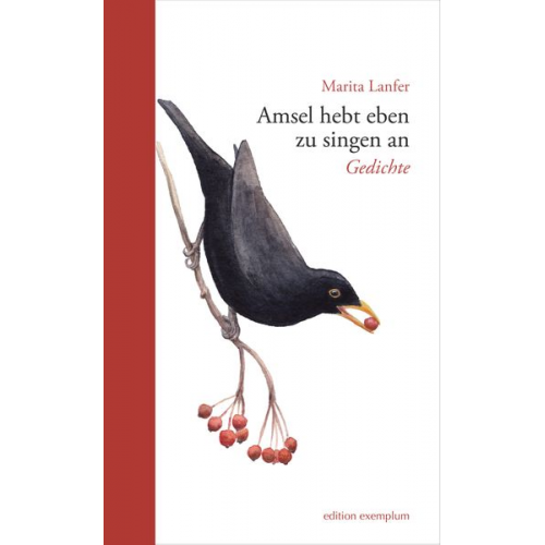 Marita Lanfer - Amsel hebt eben zu singen an