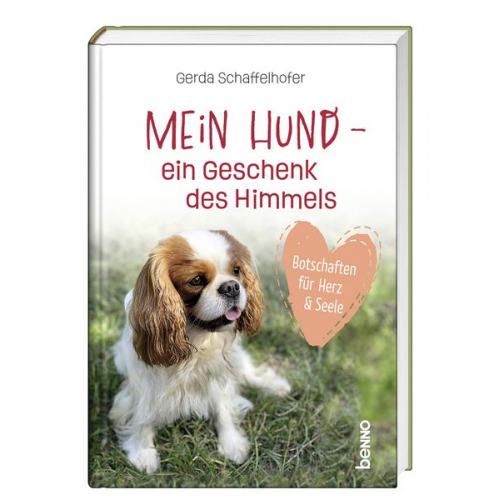 Gerda Schaffelhofer - Mein Hund – ein Geschenk des Himmels