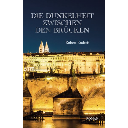 Robert Endress - Die Dunkelheit zwischen den Brücken