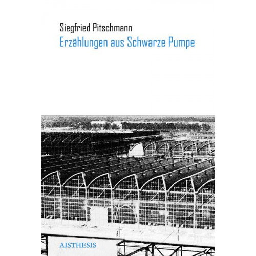 Siegfried Pitschmann Volker Braun - Erzählungen aus Schwarze Pumpe