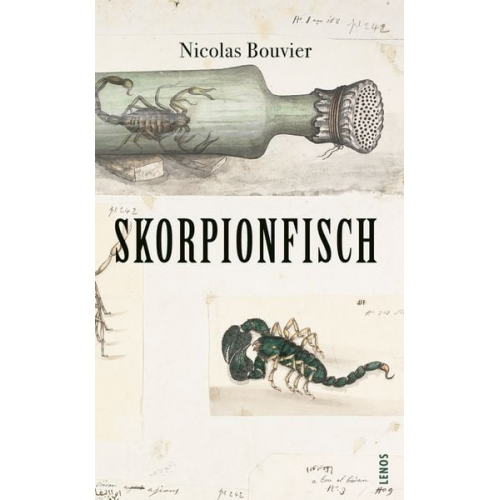 Nicolas Bouvier - Skorpionfisch