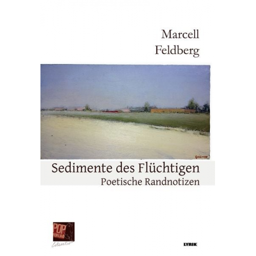 Marcell Feldberg Traian Pop - Sedimente des Flüchtigen