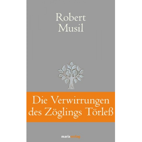 Robert Musil - Die Verwirrungen des Zöglings Törleß