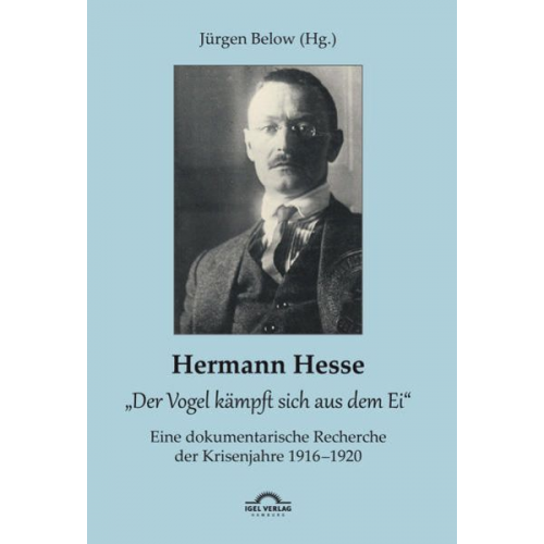 Hermann Hesse: „Der Vogel kämpft sich aus dem Ei“. Eine dokumentarische Recherche der Krisenjahre 1916 – 1920. Korrespondenzen und Quellennachweise