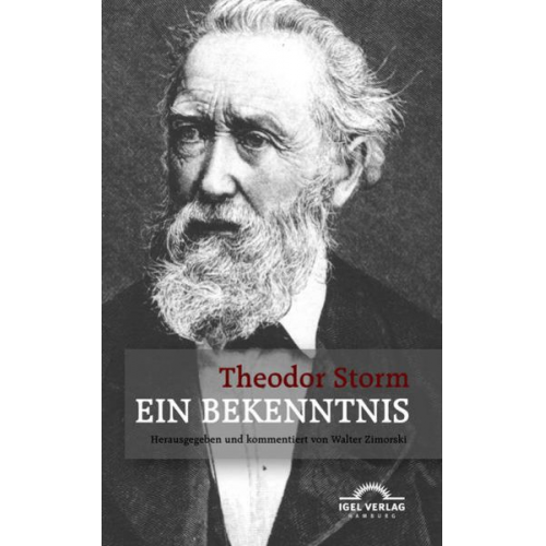 Theodor Storm - Ein Bekenntnis. Novella Medici