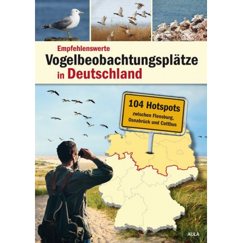 Empfehlenswerte Vogelbeobachtungsplätze in Deutschland