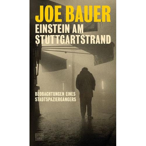 Joe Bauer - Einstein am Stuttgartstrand