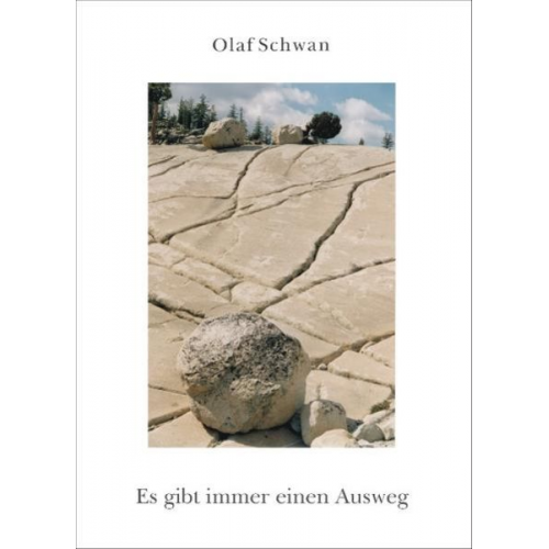 Olaf Schwan - Es gibt immer einen Ausweg