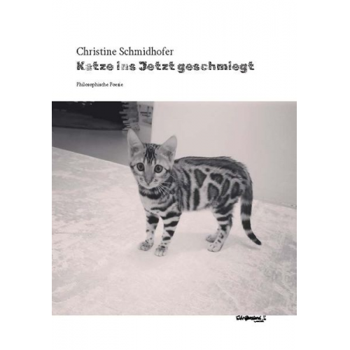 Christine Schmidhofer - Katze ins Jetzt geschmiegt