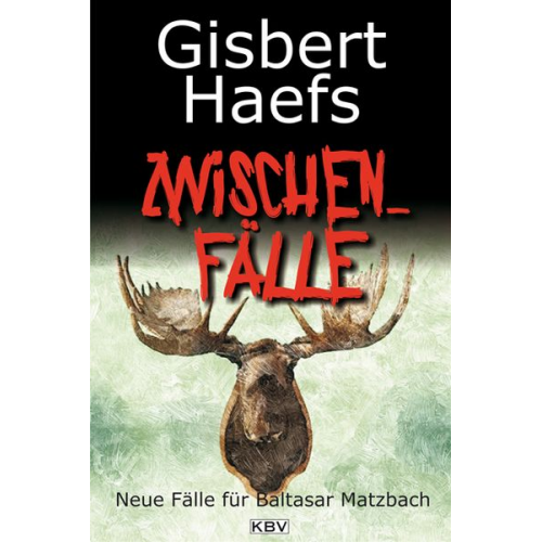 Gisbert Haefs - Zwischenfälle / Baltasar Matzbach Band 10