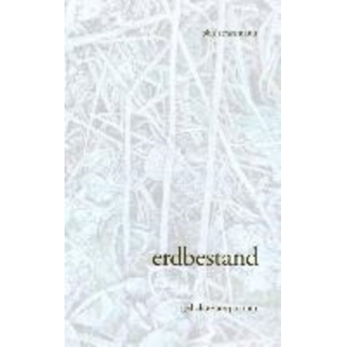 Pius Strassmann - Erdbestand