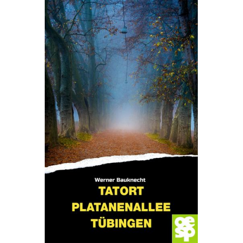 Werner Bauknecht - Tatort Platanenallee Tübingen