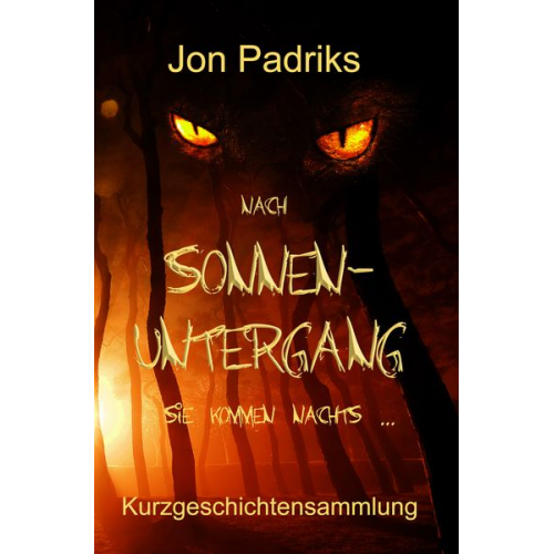 Jon Padriks - Nach Sonnenuntergang