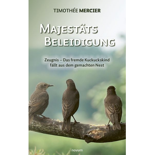 Timothée Mercier - Majestätsbeleidigung