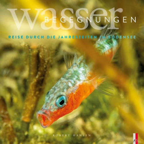 Robert Hansen - Wasser Begegnungen