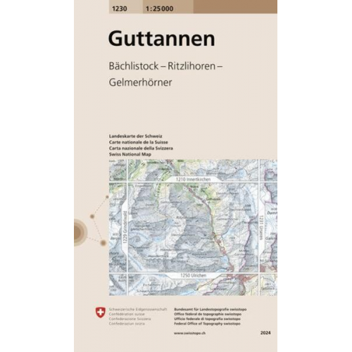 Swisstopo 1 : 25 000 Guttannen