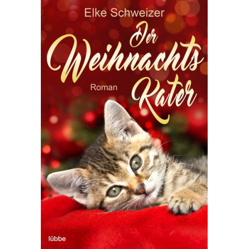 Elke Schweizer - Der Weihnachtskater
