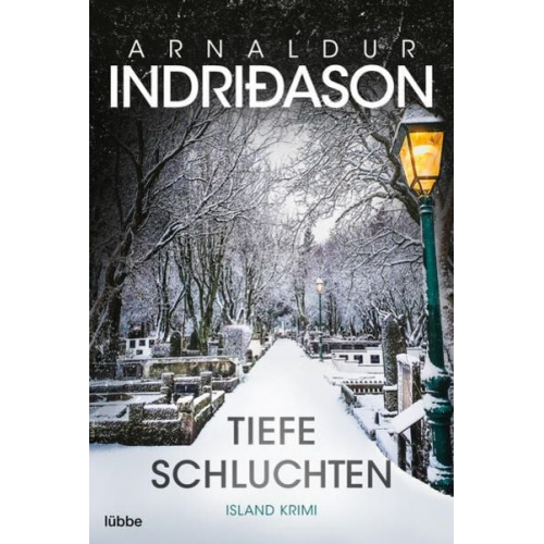 Arnaldur Indriðason - Tiefe Schluchten