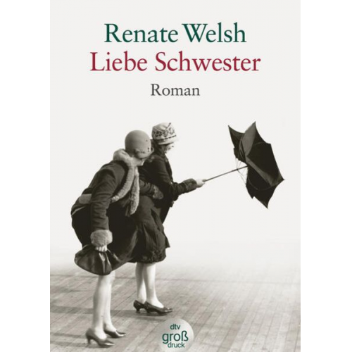 Renate Welsh - Liebe Schwester