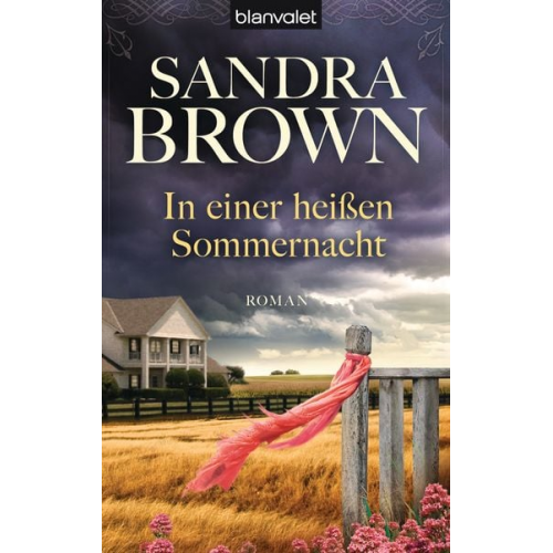 Sandra Brown - In einer heißen Sommernacht