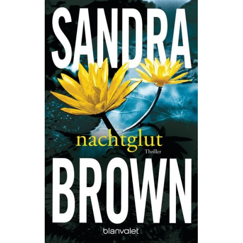 Sandra Brown - Nachtglut