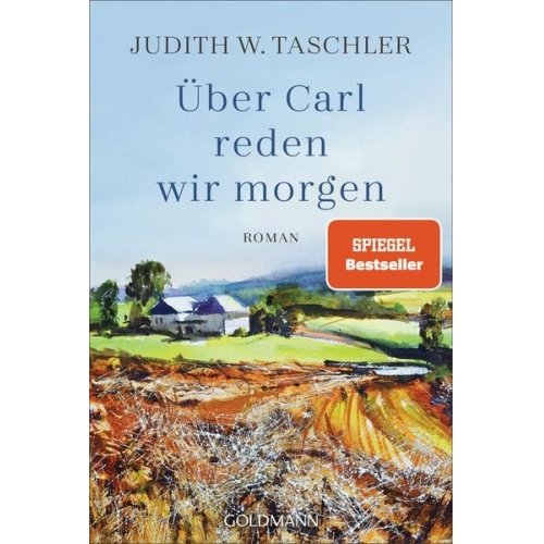 Judith W. Taschler - Über Carl reden wir morgen