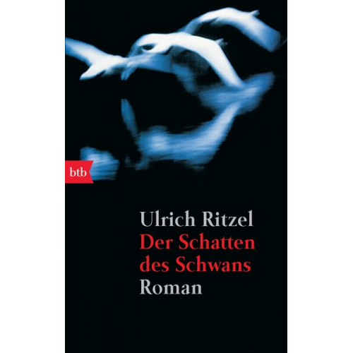 Ulrich Ritzel - Der Schatten des Schwans / Kommissar Berndorf Band 1