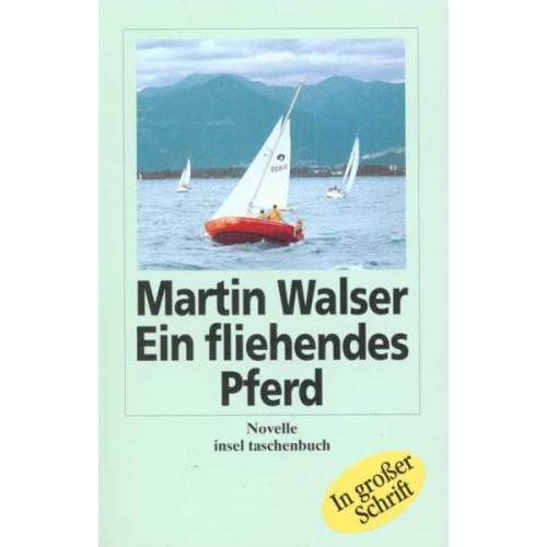 Martin Walser - Ein fliehendes Pferd