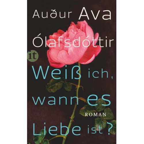 Auður Ava Ólafsdóttir - Weiß ich, wann es Liebe ist?