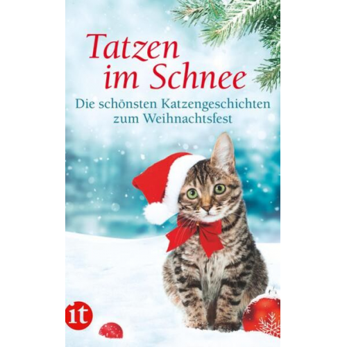 Tatzen im Schnee